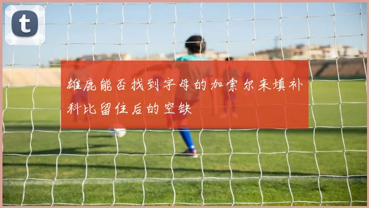 雄鹿能否找到字母的加索尔来填补科比留住后的空缺